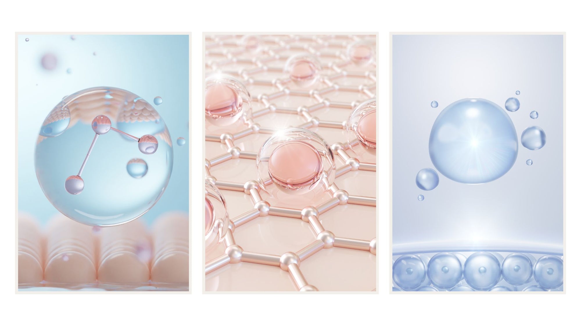 A collage of collagen molecules.