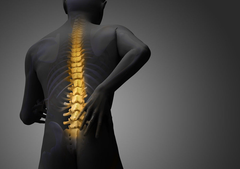 A graphic image that shows the spine and signifies lower back pain.