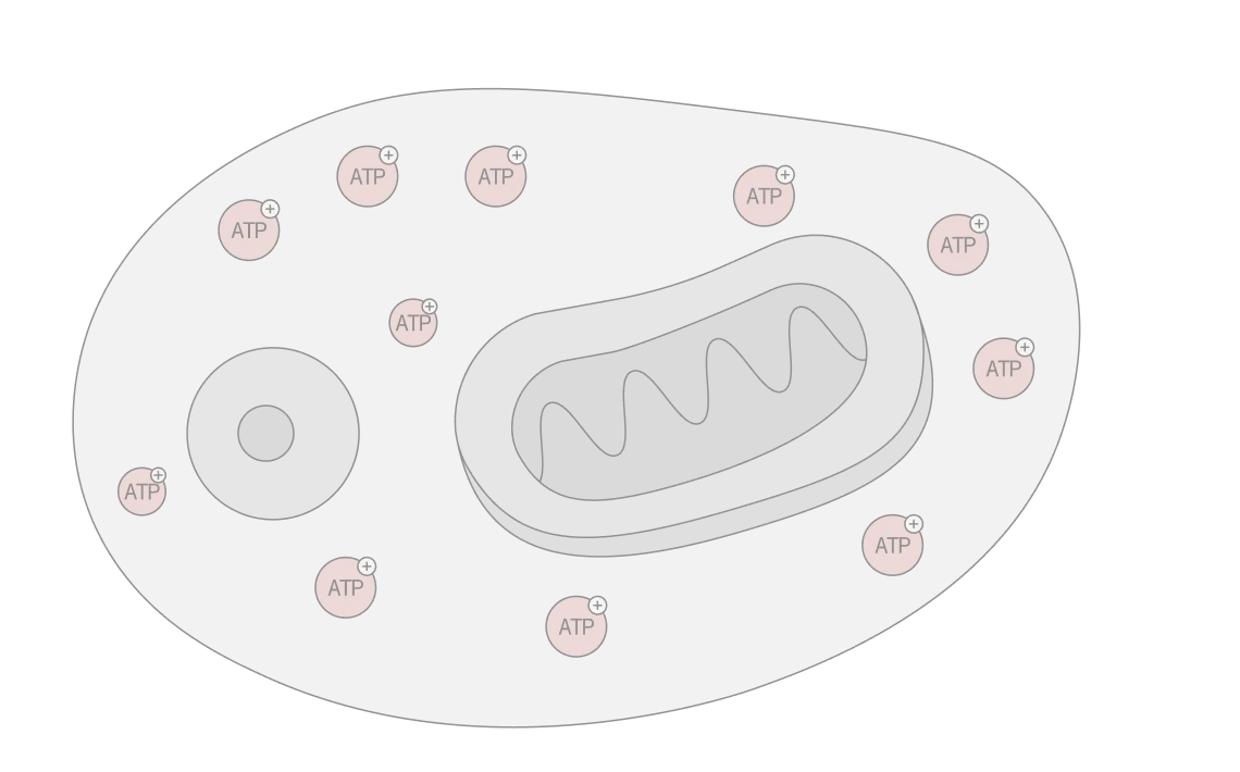 Recovery pathways are activated — illustration